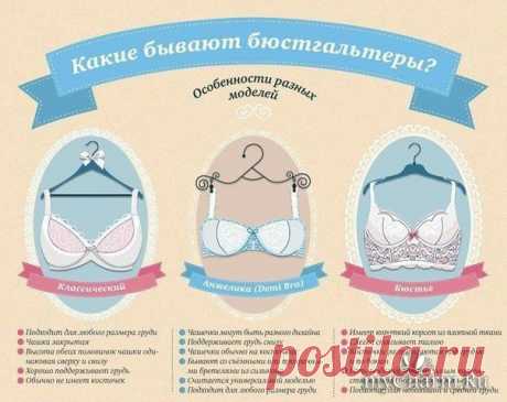 Подбираем бюстгальтер правильно: шпаргалка для каждой девушки: Группа Мода и стиль