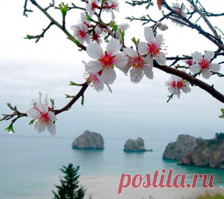 Фон на обложку - 1 фото. Фотографии Татьяна *......