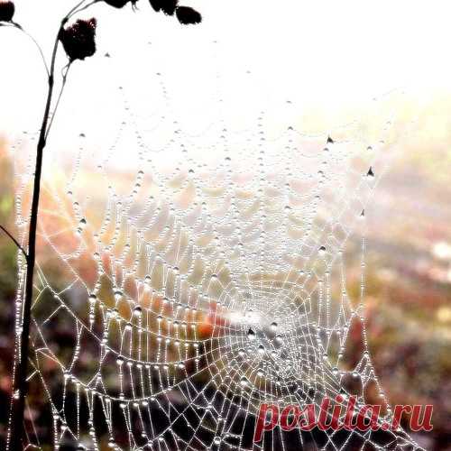 АНГЕЛ ЗА ОКНАМИ. by fedorshum | fedorshum  | Free Listening on SoundCloud