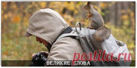 То, что ты ищешь всю жизнь может быть ближе, чем ты думаешь.