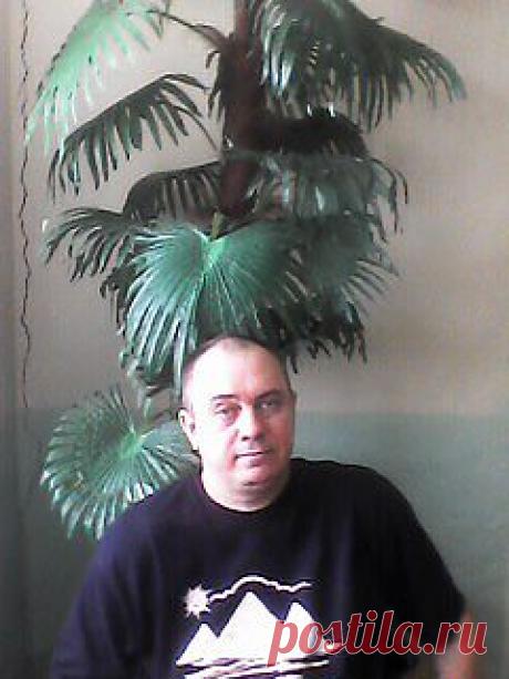 море  пальмы