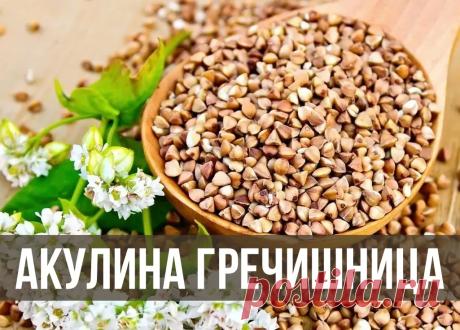 На Акулину гречку щедро насыпай, Всех угощай и стол скорее накрывай. Пусть счастье в дом рекой течет, И радость каждый день приносит этот год! Открытки на Акулина Гречишница!