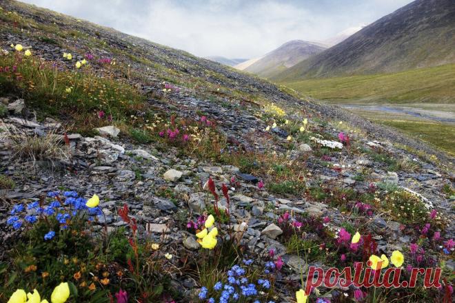 15 невероятных ФОТО Чукотки | Russia Beyond | Яндекс Дзен