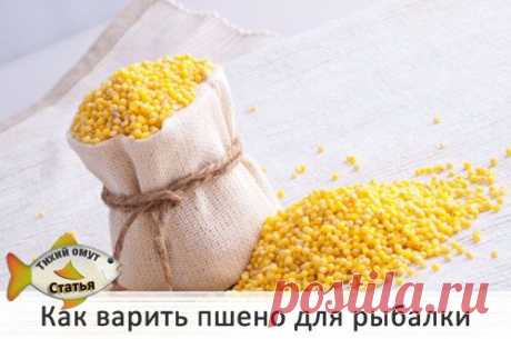НА РЫБАЛКУ !!!!