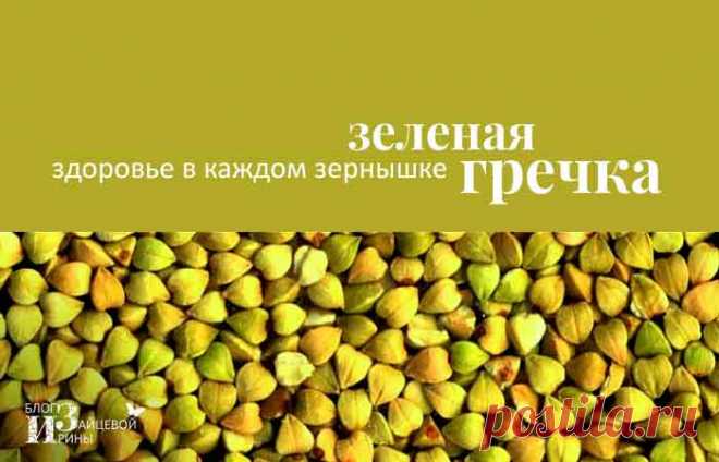 Зеленая гречка. Польза и вред. Полезные свойства. Как готовить | Блог Ирины Зайцевой