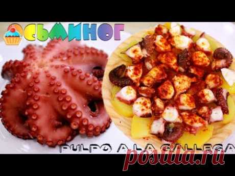 ОСЬМИНОГ / Как приготовить / Pulpo a la gallego / How do you cook an OCTOPUS.