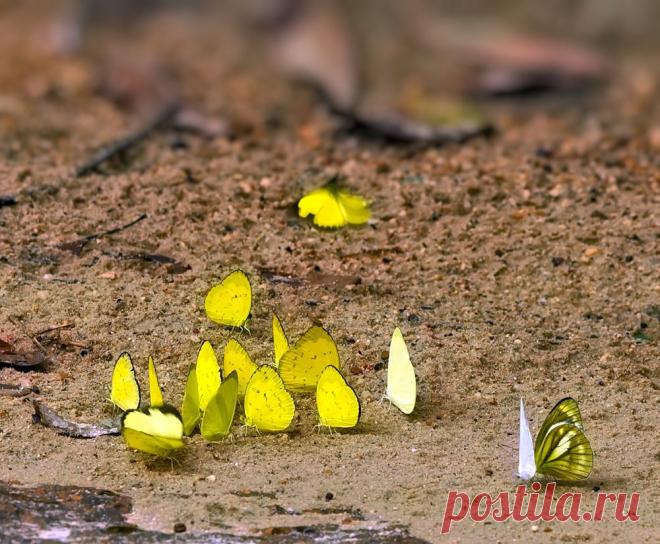 35PHOTO - Alexey Gnilenkov - Хороводы...