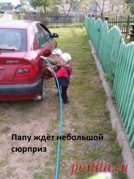 Сюрприз папе.)