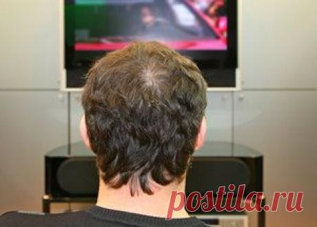 Какие спортивные трансляции нельзя пропустить этим летом