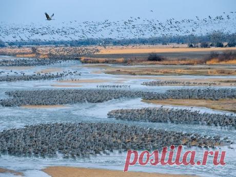 река Платт, Небраска, США / Экстремальный досуг