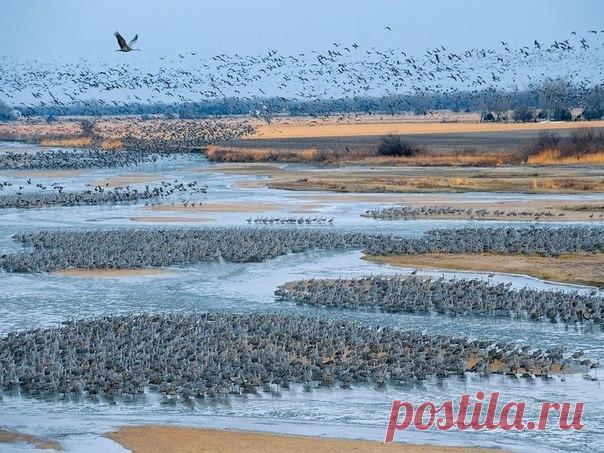 река Платт, Небраска, США / Экстремальный досуг