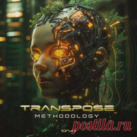Transpose (CA) - Methodology