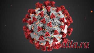 Угроза похлеще коронавируса: чем опасны супербактерии и когда они появятся | Hi-Tech Mail.ru | Дзен