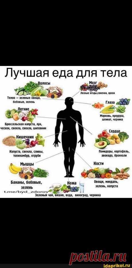 Лучшая еда для тела Волосы Тенно - зеленые овощи, бобовые, зелень Брюссельская капуста, лун, чеснон, свекла, свенла, шиповник Кишечник Капуста, свенла, сливы, 'топинамбур, отруби Мышцы Бананы, бобовые, зелень Мозг Лесные ягоды,сенечни, орехи дд Глаза "87 Морновь, кукуруза, шпинат, черника Помидоры, нартофель, 'авокадо, бронноли Кости Овощи, миндаль, зелень, капуста Зеленый чай, вишня, вода, виноград, черника - ) / АйДаПрикол .)