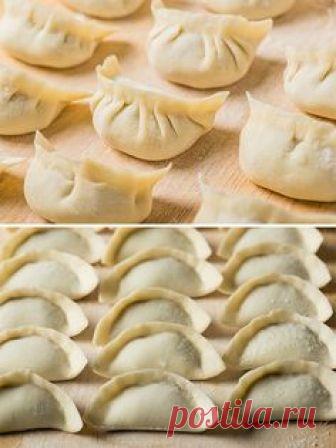 How to Make Chinese Dumplings from Scratch - The ultimate guide to making Chinese dumplings from scratch. The dough can be used for both boiled dumplings (shui jiao, 水饺) and potstickers (guo tie, 锅贴) | omnivorescookbook.com