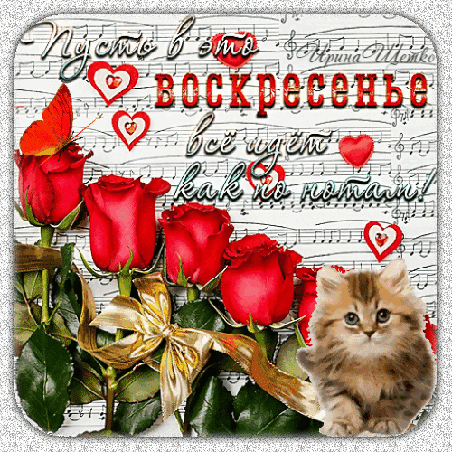 Хорошего отдыха! С Воскресеньем!
