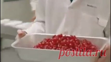 Картофельный рулет с грибами или мясом