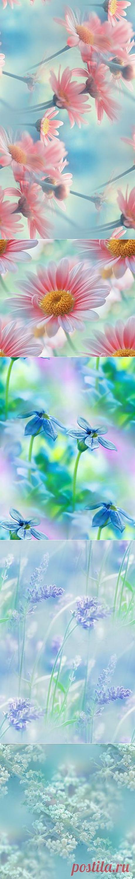 фоны из фотографий by =lpdragonfly — Прекрасные фоны для дневников