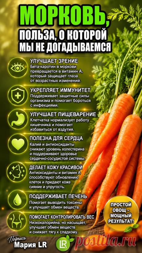 Морковь польза