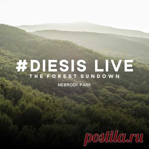 Gioli & Assia - Diesis Live @The Forest Sundown, Nebrodi Park free download mp3 music 320kbps