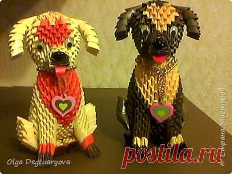 Собаки | Страна Мастеров