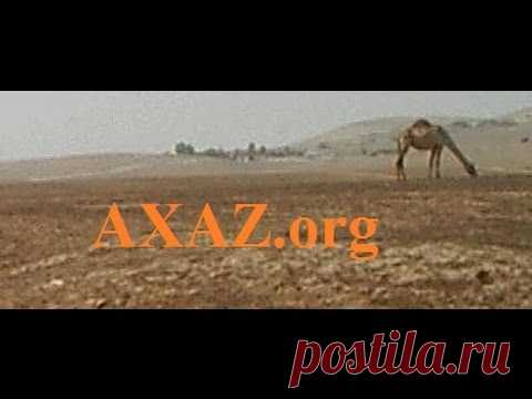 342. Предлоги от частицы ЭЦ (винит. падеж) и ИМ (с, вместе) с окончаниями принадлежности, в иврите