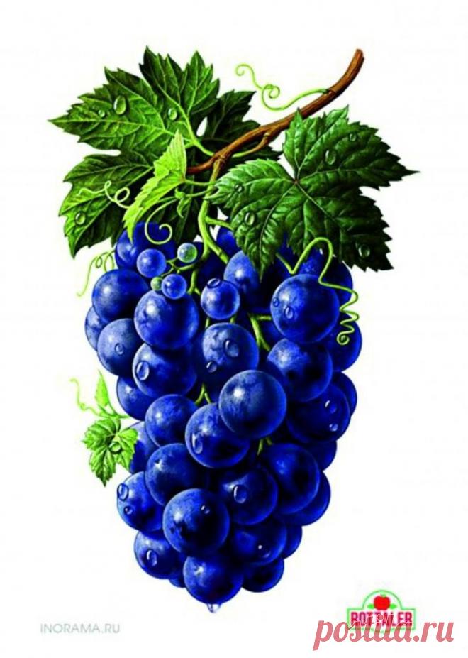 sZ1_DNL5NXg.jpg (736×1034)