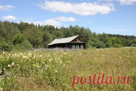 Зарастают чепрагой поля, 
Деревеньки стоят сиротливо. 
Покосивший скворечник без дна, 
Остов дома,заросший крапивой. 

Показать полностью…