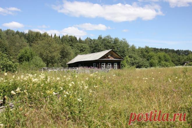Зарастают чепрагой поля, 
Деревеньки стоят сиротливо. 
Покосивший скворечник без дна, 
Остов дома,заросший крапивой. 

Показать полностью…