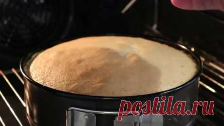 Простой рецепт бисквита который всегда удаётся! | Ольга Шобутинская | Дзен