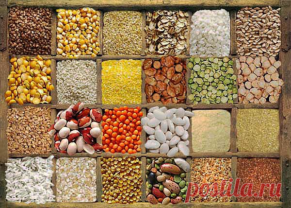 ЛУННЫЙ СВЕТ: Как готовить и хранить продукты? Маленькие хитрости