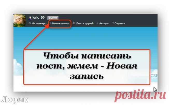 Немного о ЖЖ.