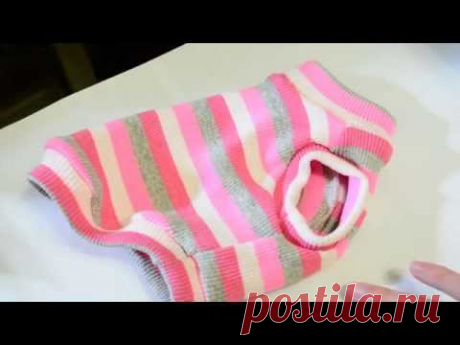 Жилетка для русского тоя своими руками