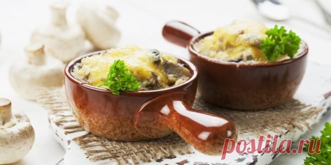 Вкуснейший жюльен с курицей и грибами - Лайфхакер