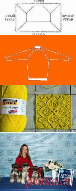 (3) Одноклассники