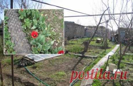 Дорожка садовая из покрышек