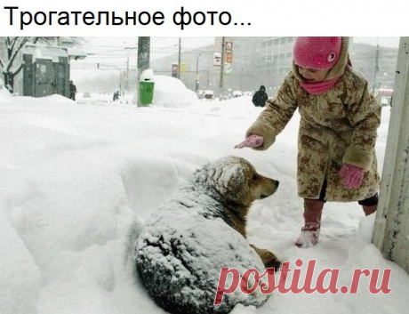 Вдохновение.