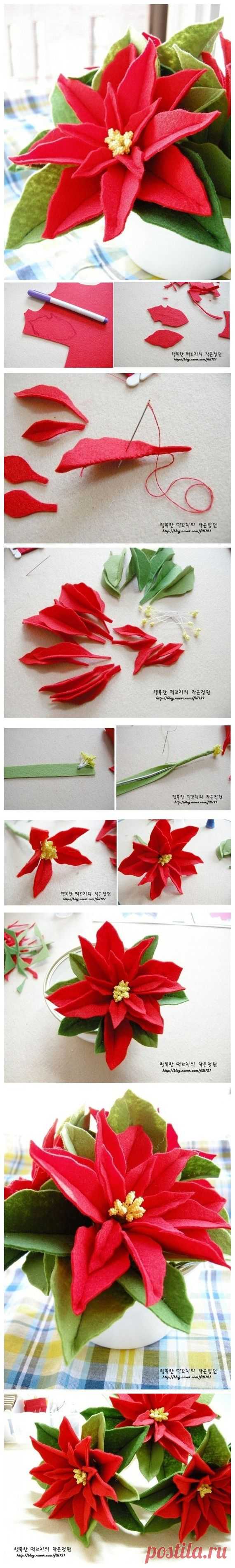 Пуансеттия из бумаги. | Домоводство для всей семьи