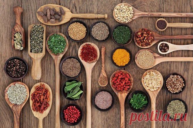 Диета по принципу питания тибетских монахов - Диеты со всего света
Что касается данной методики, то можно с полной уверенностью говорить, что она уникальная и оригинальная. Более того, эта диета была не только испробована тибетскими монахами, а и применяется ими на протяжении не одной сотни лет.