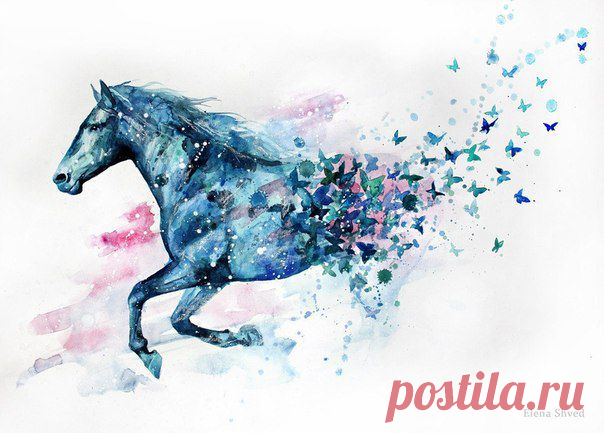 Art by E l e n a S h v e d