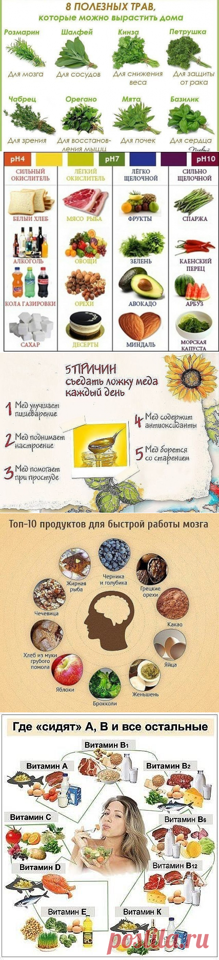 (79) Одноклассники