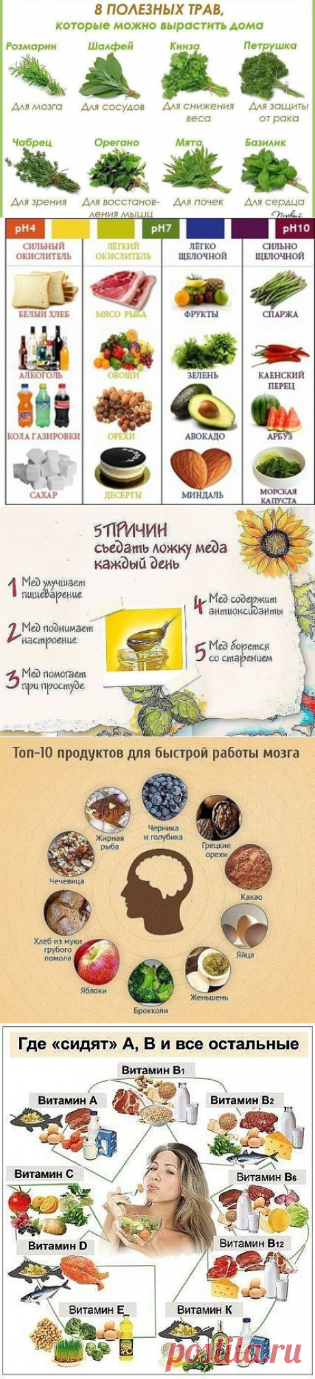 (79) Одноклассники