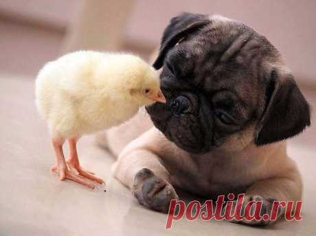 (1) Facebook