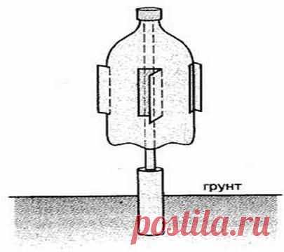 Борьба с кротами. Народные способы. -  Сады Беларуси