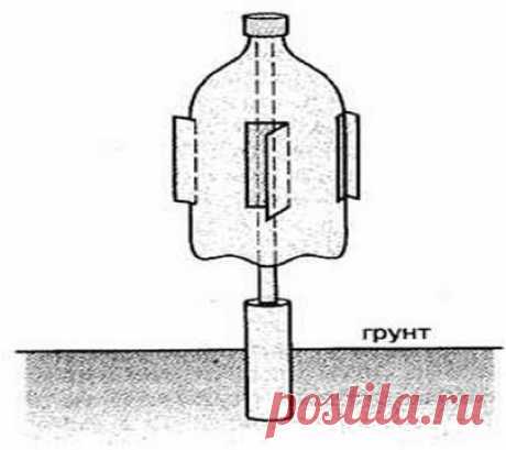 Борьба с кротами. Народные способы. -  Сады Беларуси