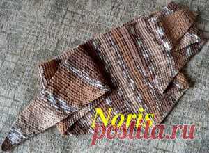 Бактус (косынка)