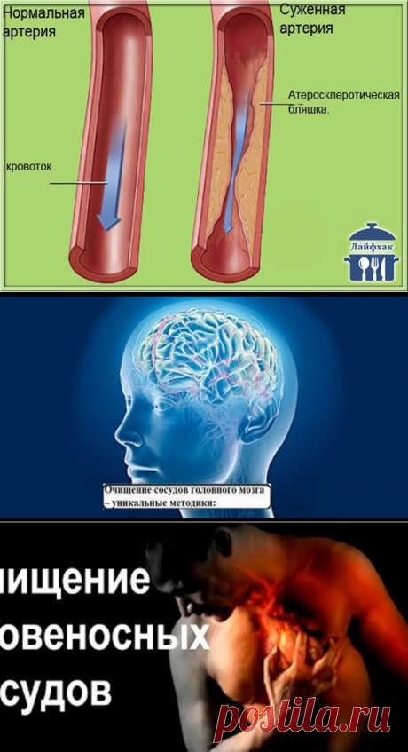 (3) Одноклассники
