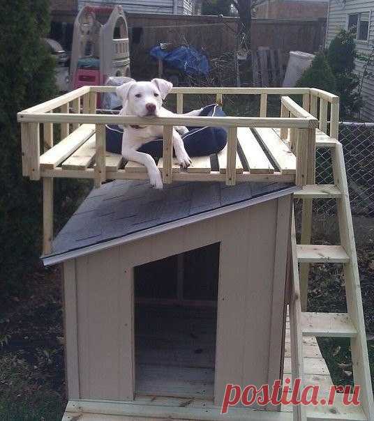 Идеи для дома