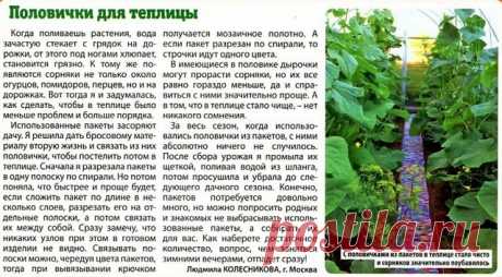 СВОИМИ РУКАМИ.
   ПОЛОВИЧЕК ДЛЯ ТЕПЛИЦЫ НА ДАЧНОМ УЧАСТКЕ.