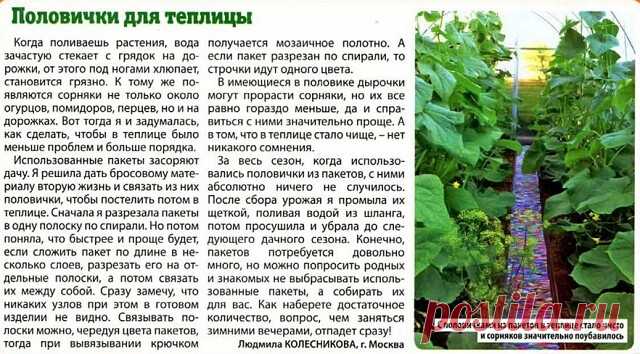 СВОИМИ РУКАМИ.
   ПОЛОВИЧЕК ДЛЯ ТЕПЛИЦЫ НА ДАЧНОМ УЧАСТКЕ.
